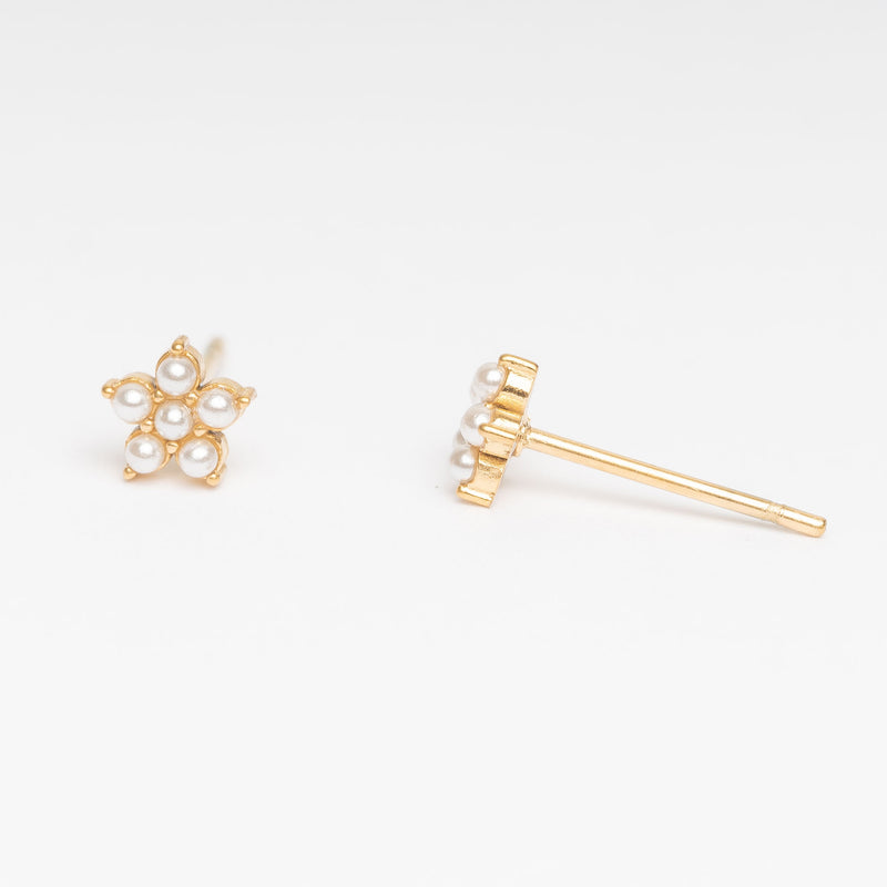 Bellis Studs