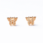 Zoolina Butterfly
