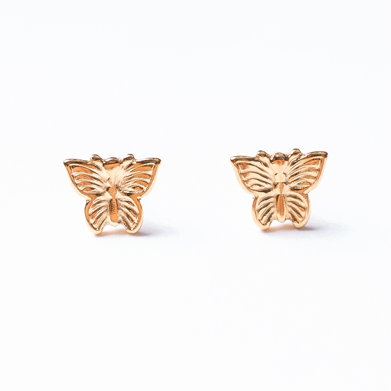 Zoolina Butterfly