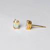 Litmus Earrings