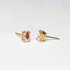 Litmus Earrings
