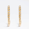Gold Extra Large Hoops