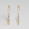 Sparkly Hoops