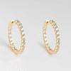 Sparkly Hoops
