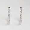 Sparkly Hoops