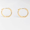 Sparkly Hoops