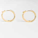 Sparkly Hoops