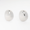 Chunky Essential Earrings