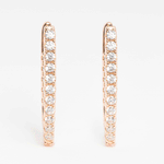 Champagne Earrings