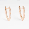 Champagne Earrings