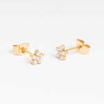 Bellis Studs
