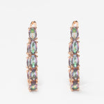 Litmus Earrings