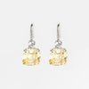 Ambar Princess Earrings