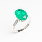 Oval Fern