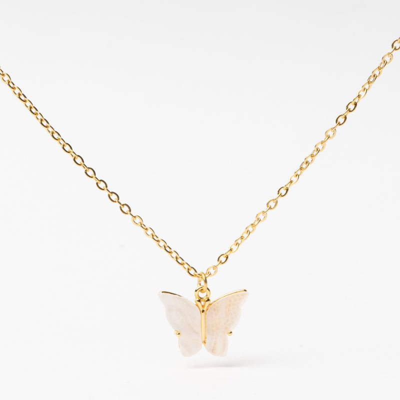 Color Quimper Butterfly