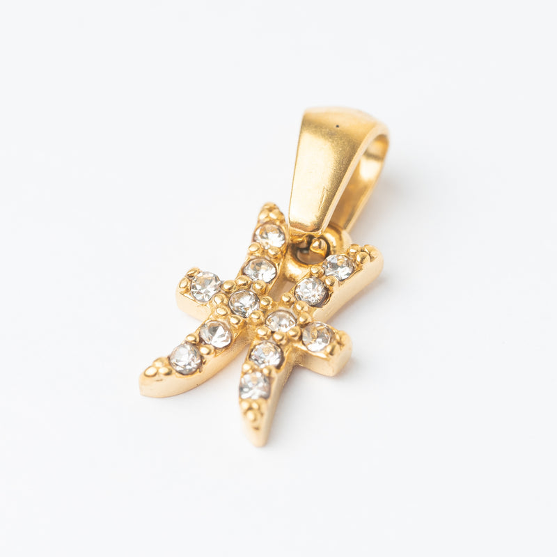 Zodiac Charm