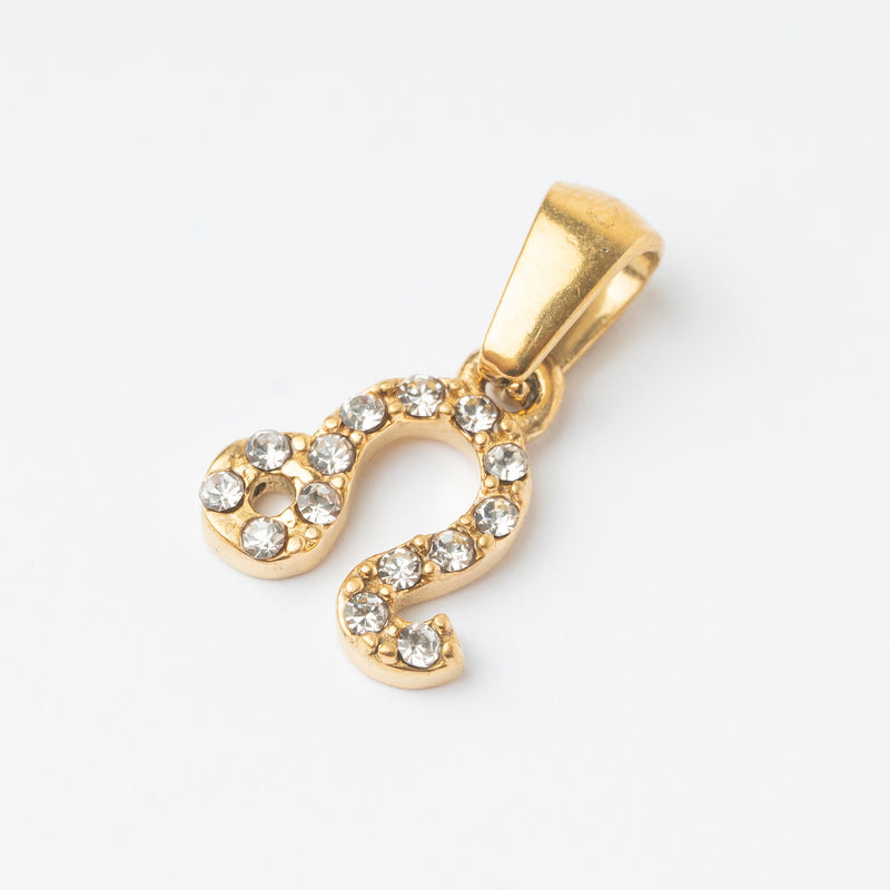 Zodiac Charm