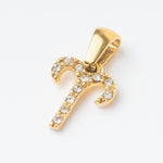 Zodiac Charm
