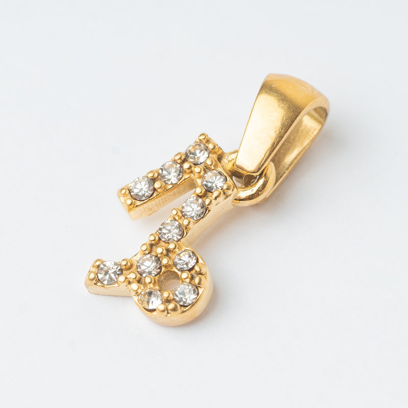 Zodiac Charm