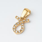 Zodiac Charm