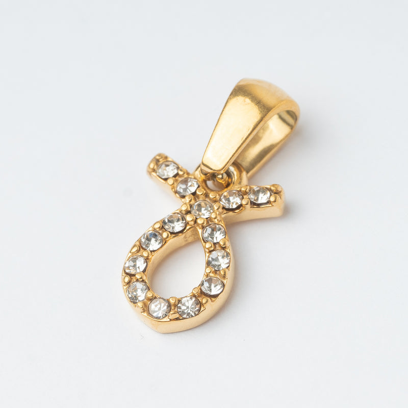 Zodiac Charm