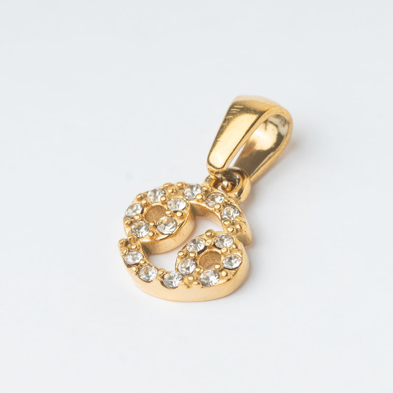Zodiac Charm