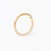 Delado Hoop