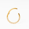 Delado Hoop
