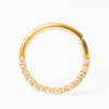 Delado Hoop