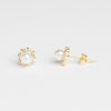 Livo Petit Earrings