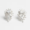 Montpellier Crystals