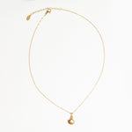 Shell Necklace II