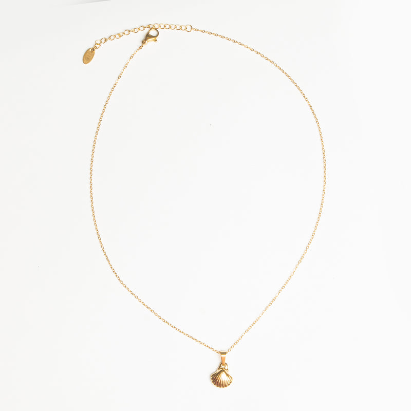 Shell Necklace II