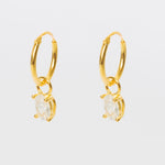 Annette Hoops