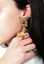 Borboleta