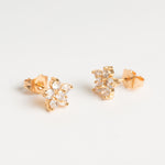 Lily Crystals